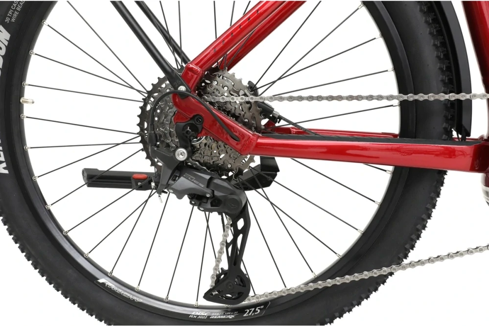 Elektrokolo APACHE Rio Grande Bosch CX 800 Wh Touring červená
