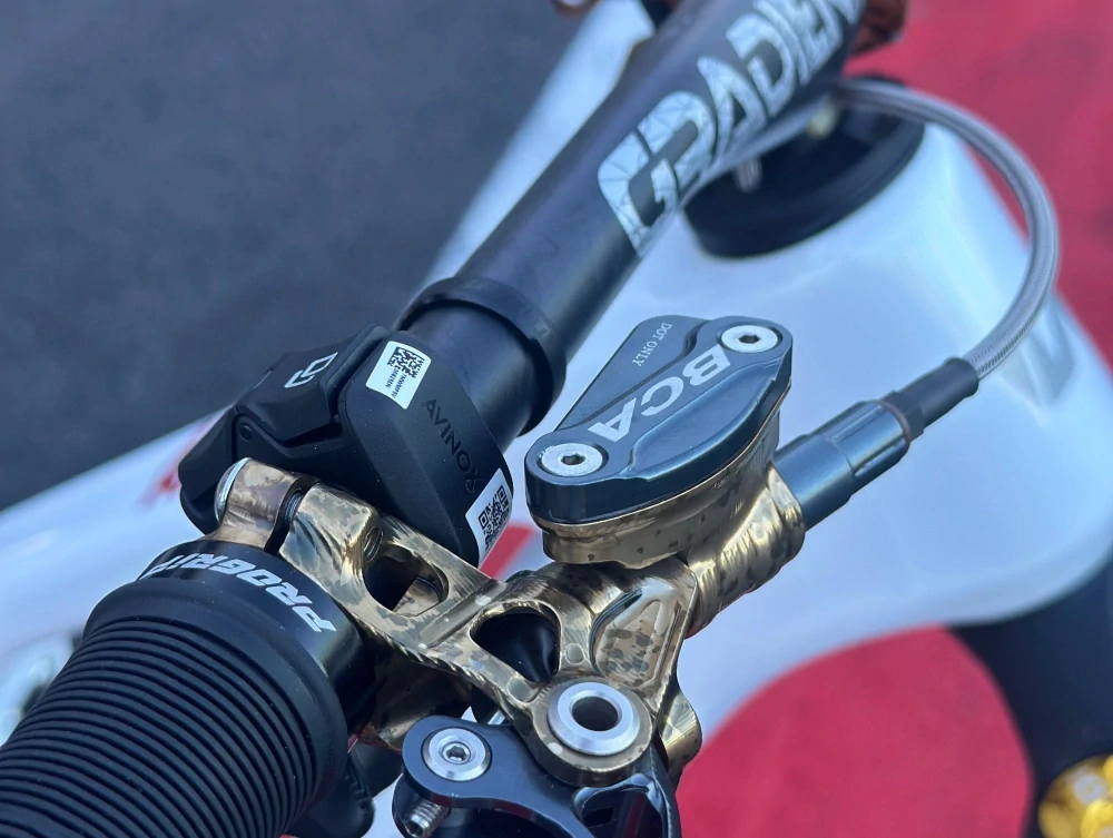 Whistle EBIKE AXR C13.7 Limited Edition
