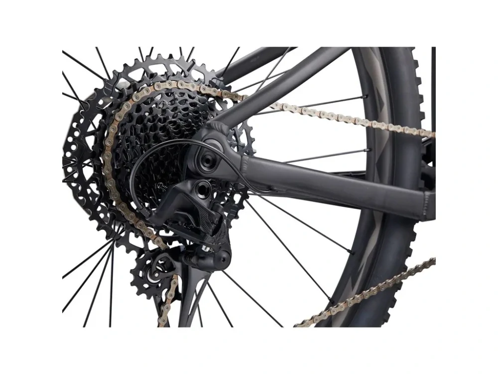 Giant LIV Embolden 29 1 Black