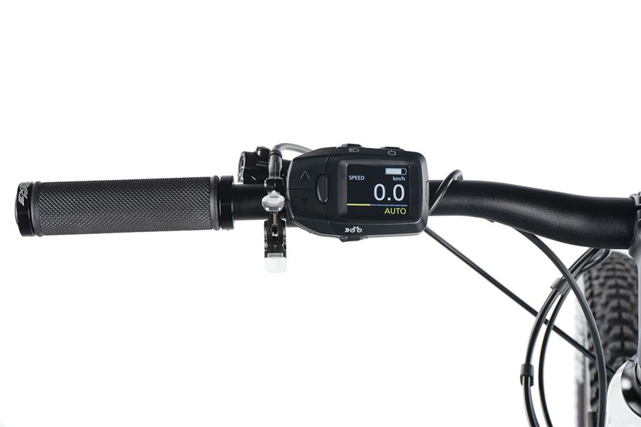 Leader Fox ARRAN, 2023-1 /29''/