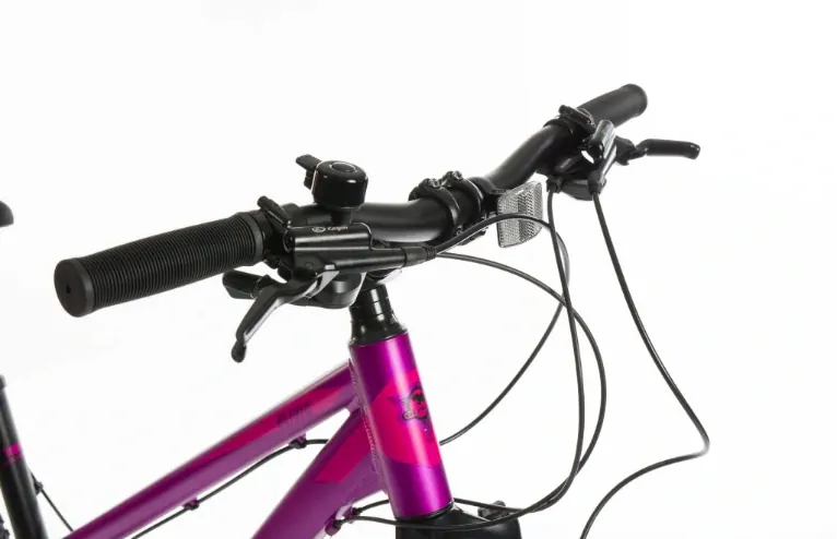 Krosové kolo OLIVIA 28" růžová 