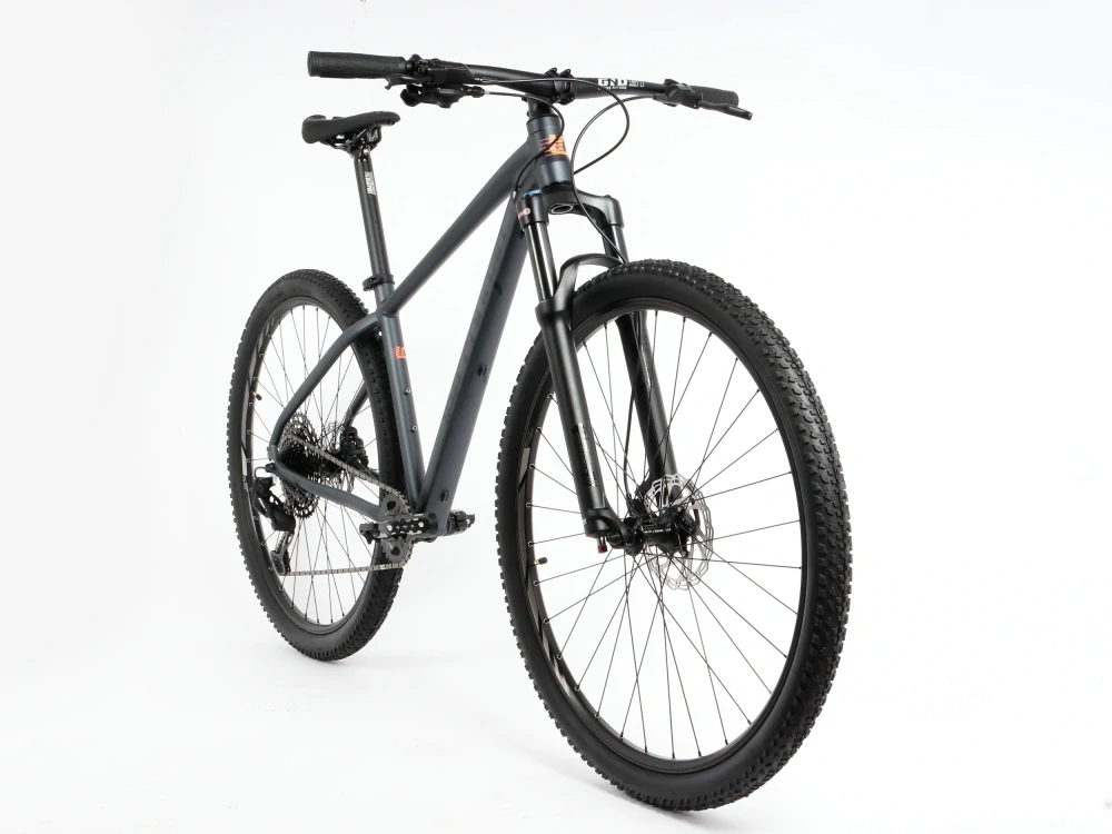 Lee Cougan 29" Rebel Sram SX Eagle 1x12 antracit