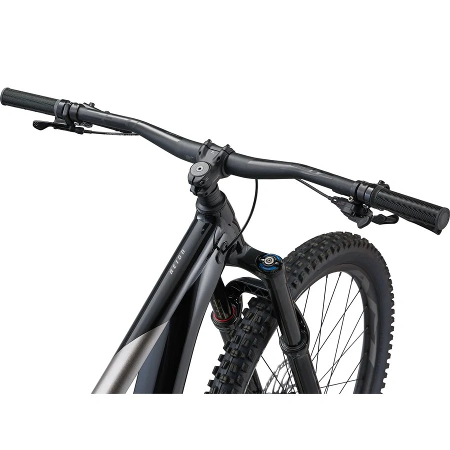 Giant Reign 2 Black/Metal