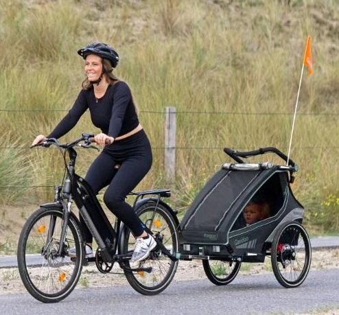 Vozík QERIDOO KidGoo2