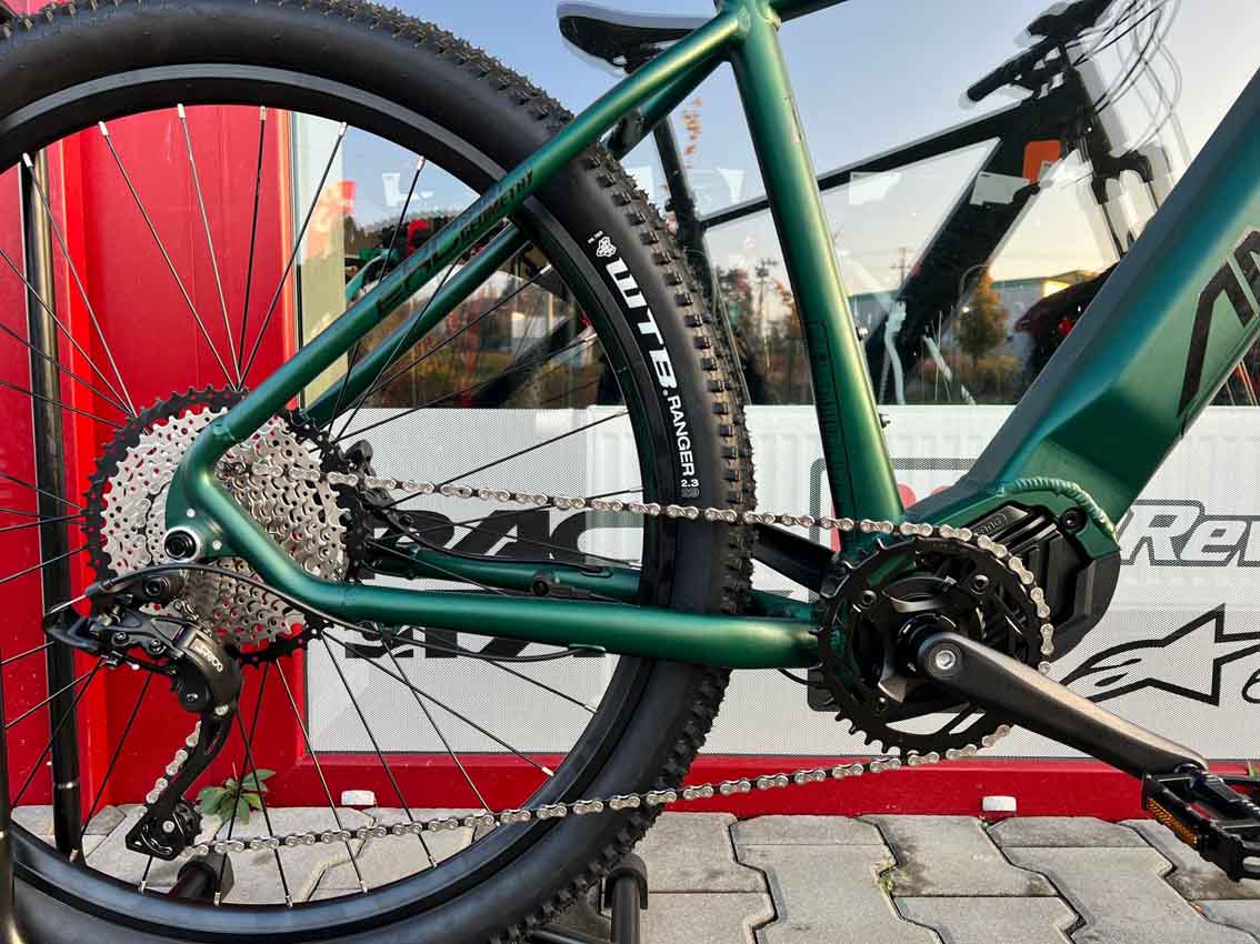 amulet 29 erival 5.0 racing green/black