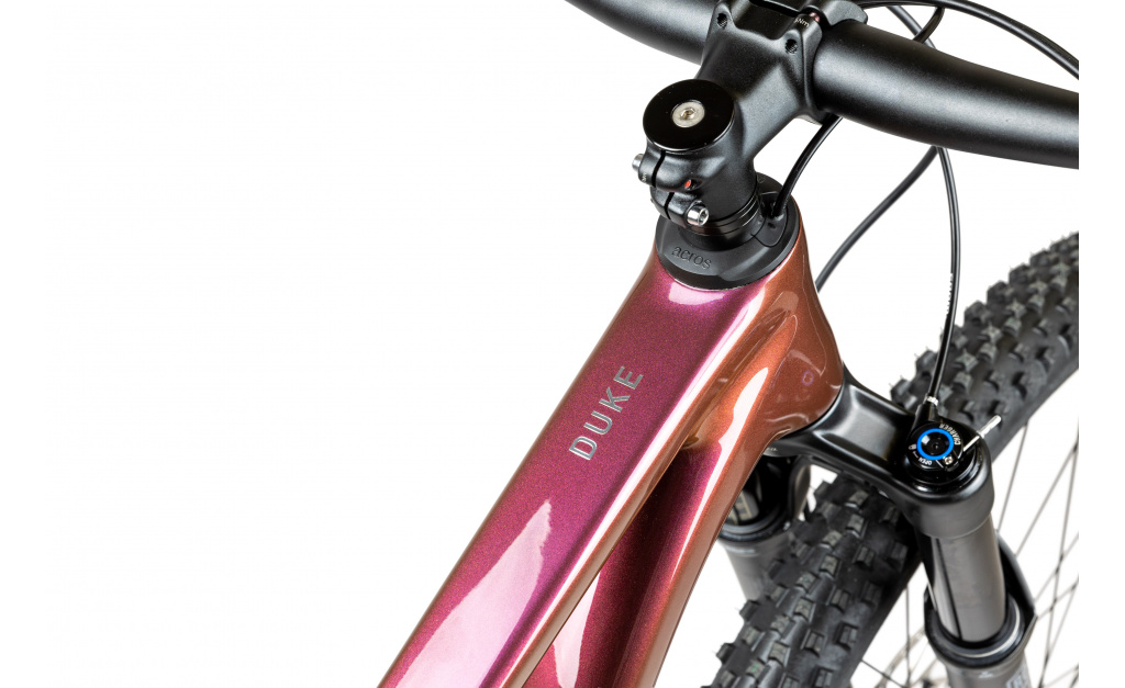 PELLS Duke FS 2 Eggplant