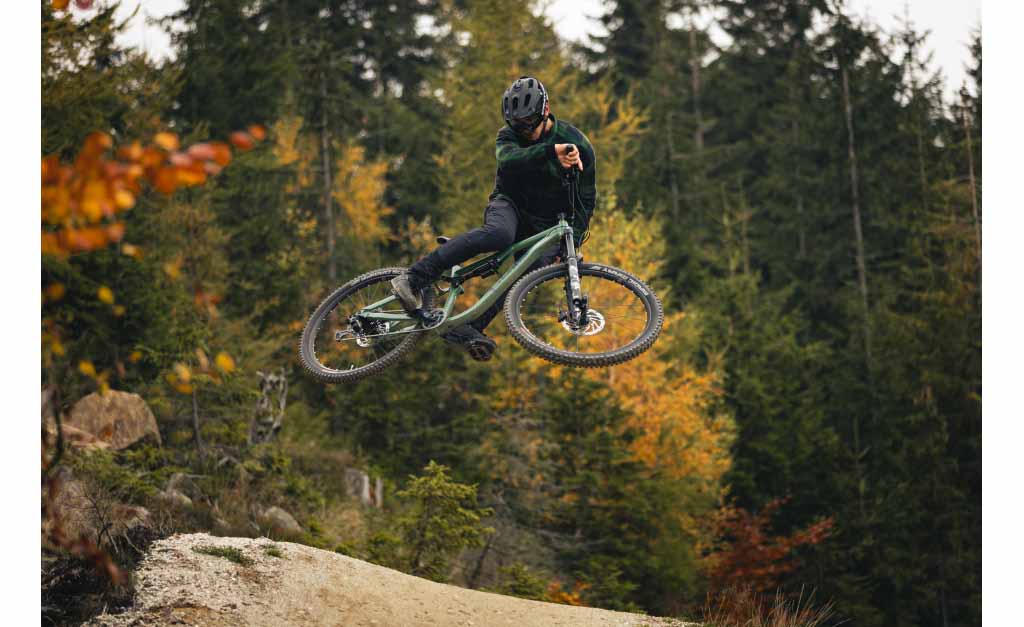 PELLS Tarpan AM 1 Moss Green