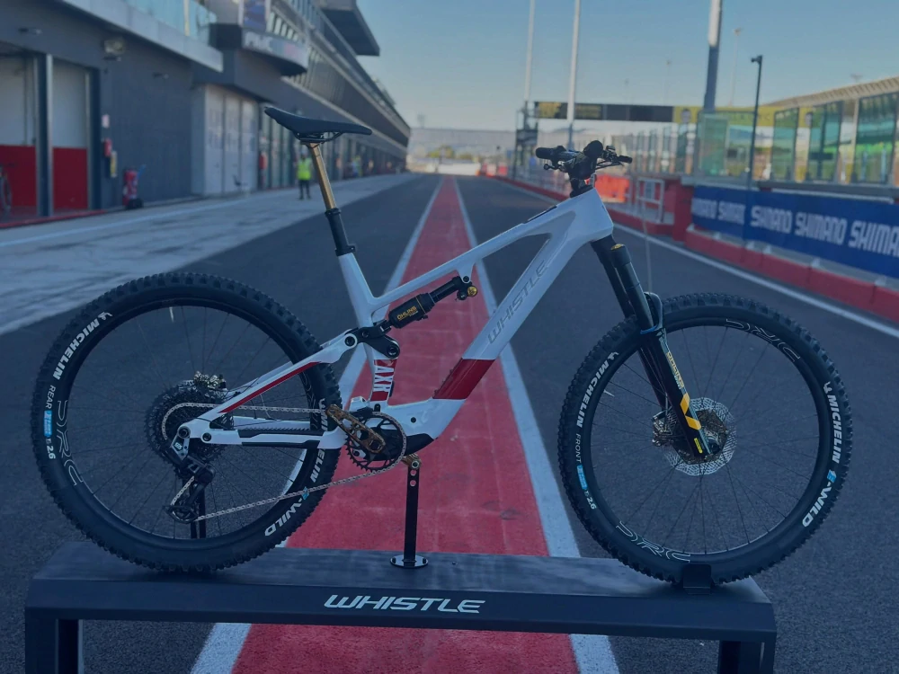 Whistle EBIKE AXR C13.7 Limited Edition