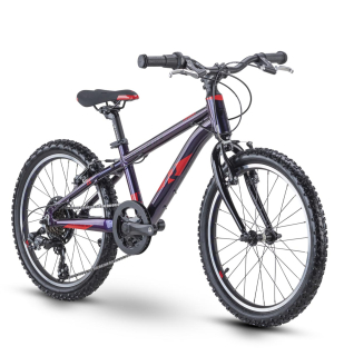 RAYMON TwoRay 1.0 purple/red