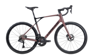 LAPIERRE Pulsium SAT 8.0 Copper Rose