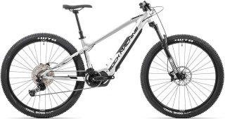 Rock Machine Blizz e60-29/Gloss Silver/Black