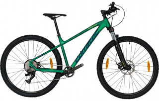 Corratec X-Vert Elite 