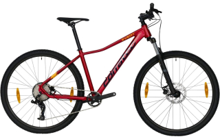 Corratec X-Vert Expert 