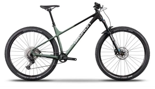 Qayron Spyro MK3 3 29" Black/Forest