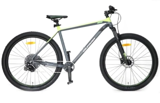 Horské kolo HUGO 29" šedá