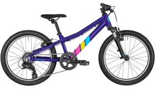 Bergamont Bergamonster 20 blue