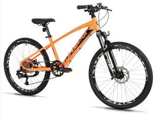 Leader Fox CAPITAN CHLAPECKÝ, MTB 24", M:2025-4