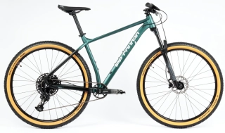 Lee Cougan 29" Revenge Sram SX Eagle 1x12 zeleno-černá matná