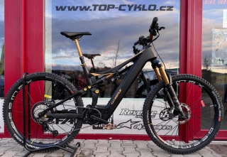 Whistle B-Rush C12.5 Carbon