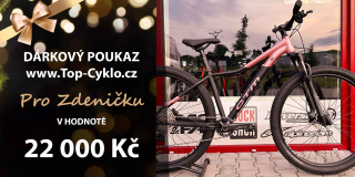POUKAZ VLASTNÍ MOTIV / ČÁSTKA