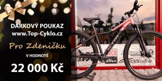 POUKAZ VLASTNÍ MOTIV / ČÁSTKA