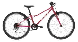 AMULET 24 Tomcat SH raspberry/silver