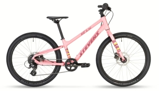 STEVENS Beat SL Disc 24 Wild Rose