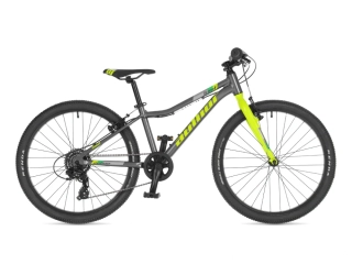 Author Limit 24 2025 - šedá/limeta/zelená