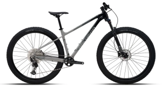 POLYGON XTRADA 7 GREY/BLACK 1x12 29"