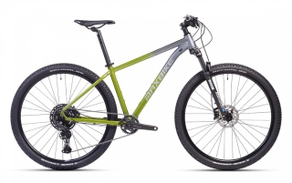 MAXBIKE TAUPO zelené