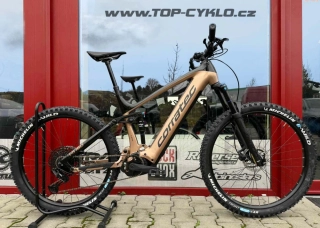 Corratec E-Power RS 160 CX7 LTD Copper/Black