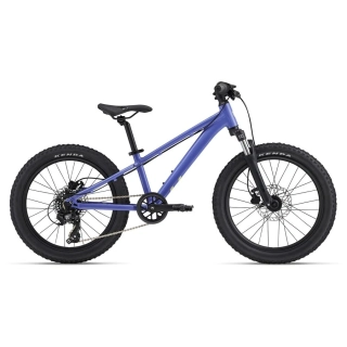 Giant STP 20 FS-LIV Dusted Peri