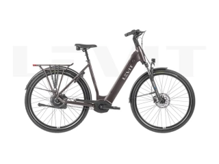 LEVIT BELECO 3 lowstep allspice