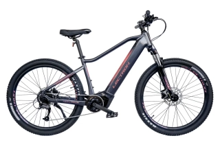 Lectron Montana PX 20 Ah Rosa