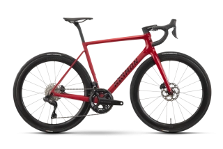 Raymon Kirana Ultra Red