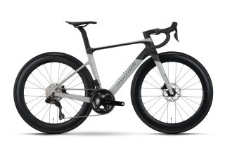 Raymon Arva Pro