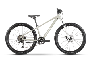 Raymon Nayta 26 Pro