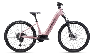 CTM ROXXY GX Pro - staroružová 