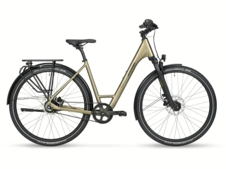 STEVENS Aviolo 5.2 Forma Light Olive
