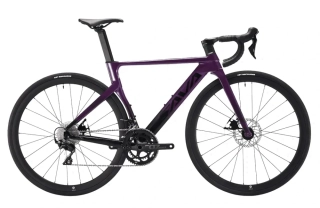 Sava Levar 2.0 violet