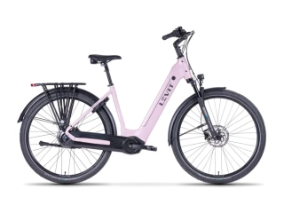 LEVIT BELECO 7 lowstep 2026 rose