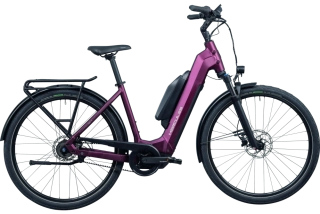 Hercules TESSANO HD I-F5 Wave bordeaux