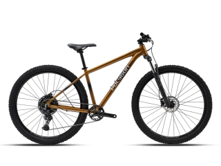 POLYGON CASCADE 5 1x10 29" Brown