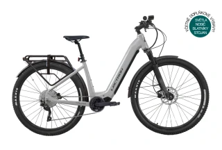 Lectron Taura ARX Pro 29" silver