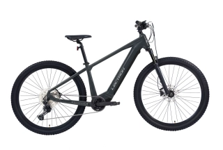 Lectron Esconder AX 29" Dark