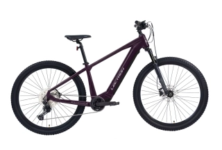 Lectron Esconder AX 29" Plum