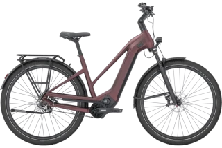 Pegasus Estremo Evo 12 Lite TR Basis