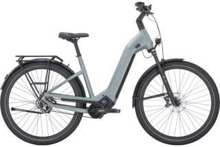 Pegasus Estremo Evo 12 Lite WA Basis
