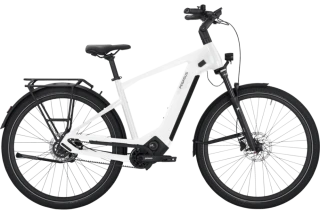 Pegasus Estremo Evo 9 Belt GE Basis, bílá