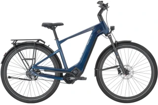 Pegasus Estremo Evo 9 Belt GE Basis, modrá